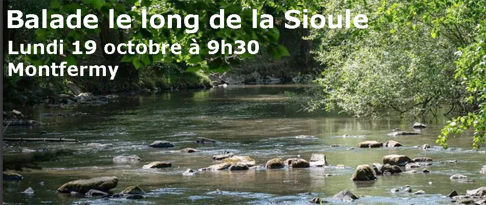 Balade le long de la Sioule