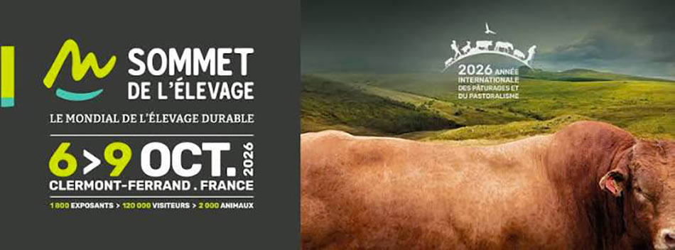 Sommet de l'&eacute;velage &agrave; Clermont Ferrend
